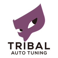 TRIBAL 